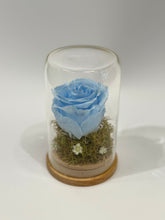 Load image into Gallery viewer, Preserved Rose in Glass Dome