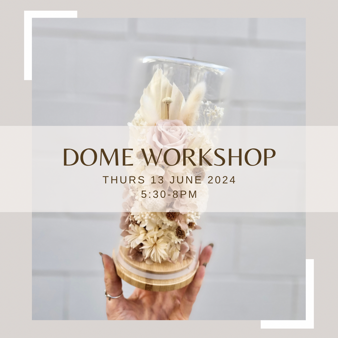 Large Dome Workshop (Thursday June 13th)