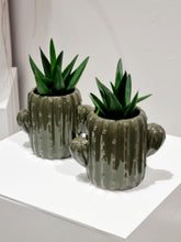 Load image into Gallery viewer, Assorted plants in cactus planter