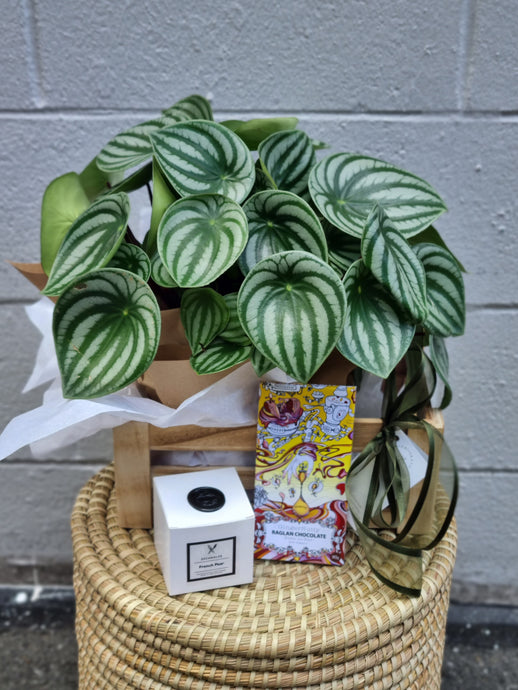 'Plant Lovers' Gift Crat